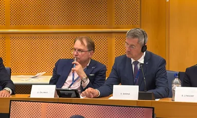 У Європарламенті закликали визнати руйнування Маріуполя свідомим злочином проти людяності та презентували проєкт відновлення справедливості